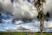 天博-亚冠赛后走向成谜，迈阿密热火豪取连胜，更衣室稳定，心理建设被强调的简单介绍